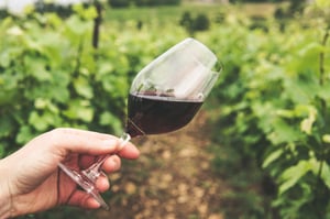 glass of wine