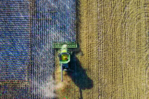 agriculture 