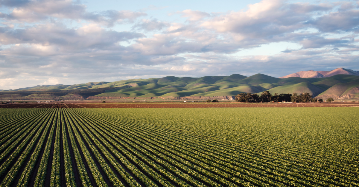 farmland